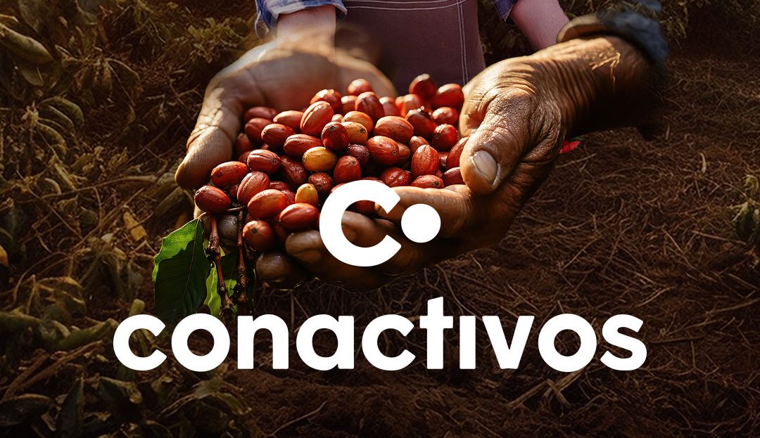 Alianza Poderosa! Conactivos y Kakaoteros impulsan la reparación rápida y el desarrollo emprendedor a través de la Compra de Sentencias