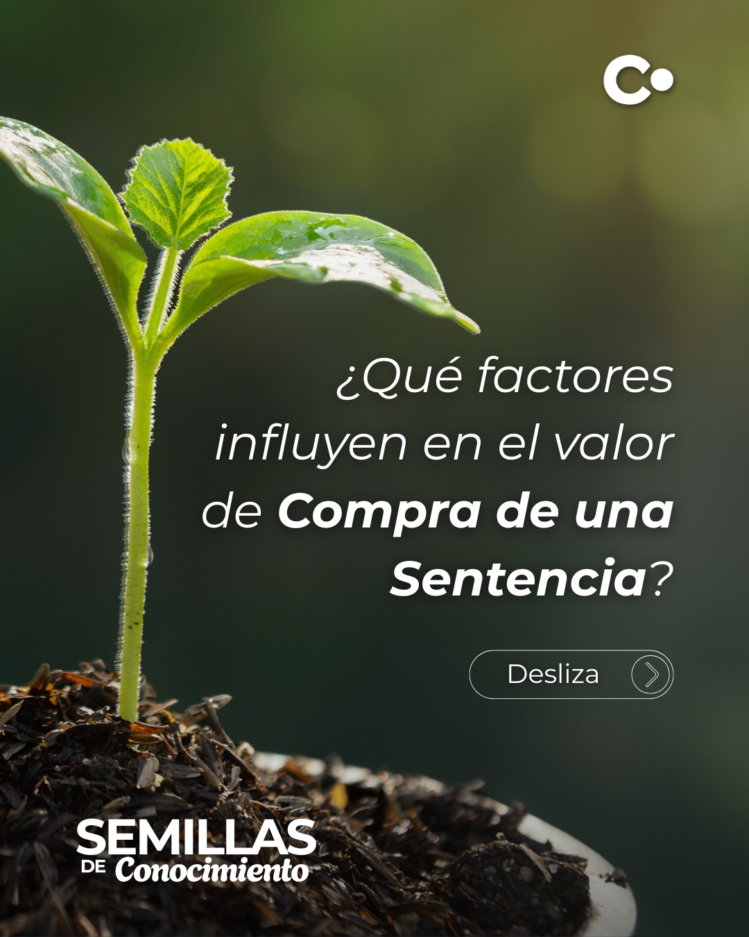 ¿Qué influye en el valor de la compra de sentencias? Descúbrelo y toma el control de tu reparación