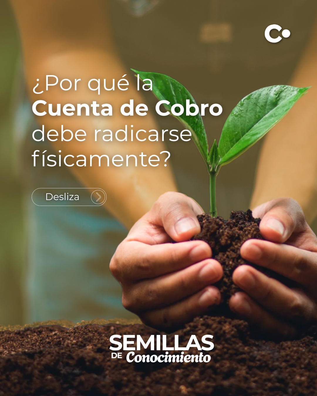 ¿Radicar en físico en pleno 2025? Sí, y aquí te contamos por qué es clave para acelerar la compra de sentencias.